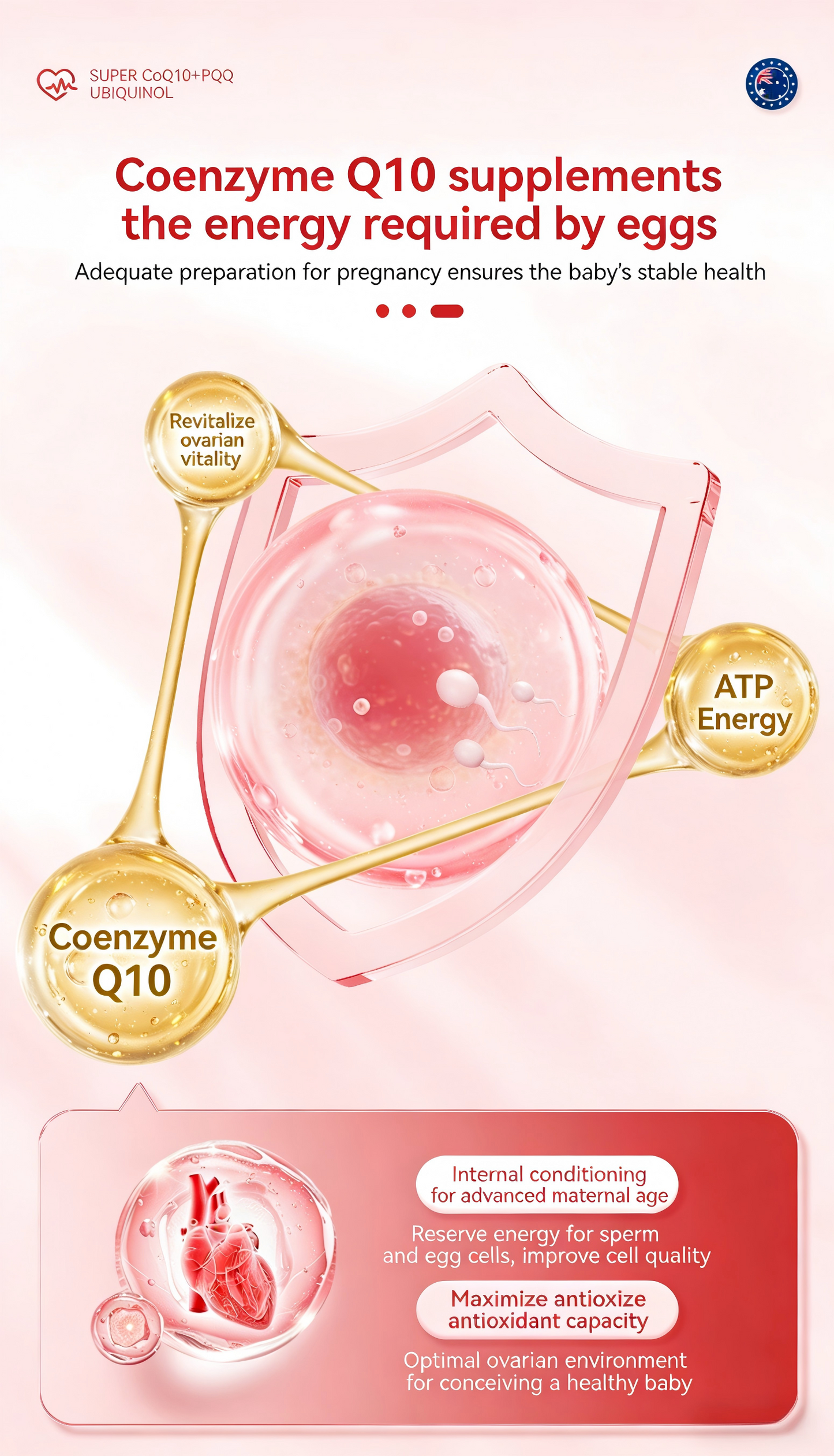 SUPER CoQ10+PQQ UBIQUINOL