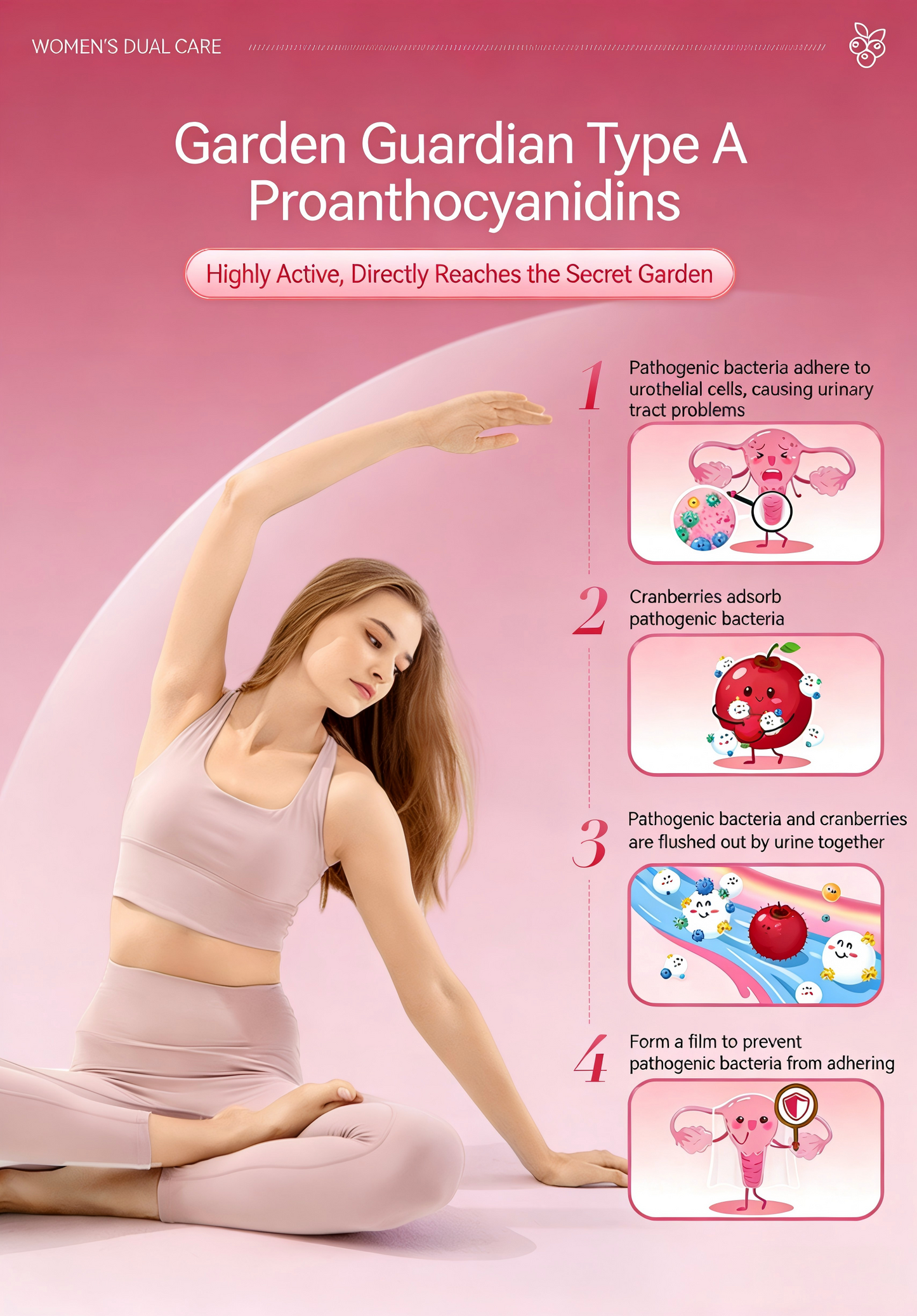 HIGH STRENGTH CRANBERRY & PROBIOTIC+