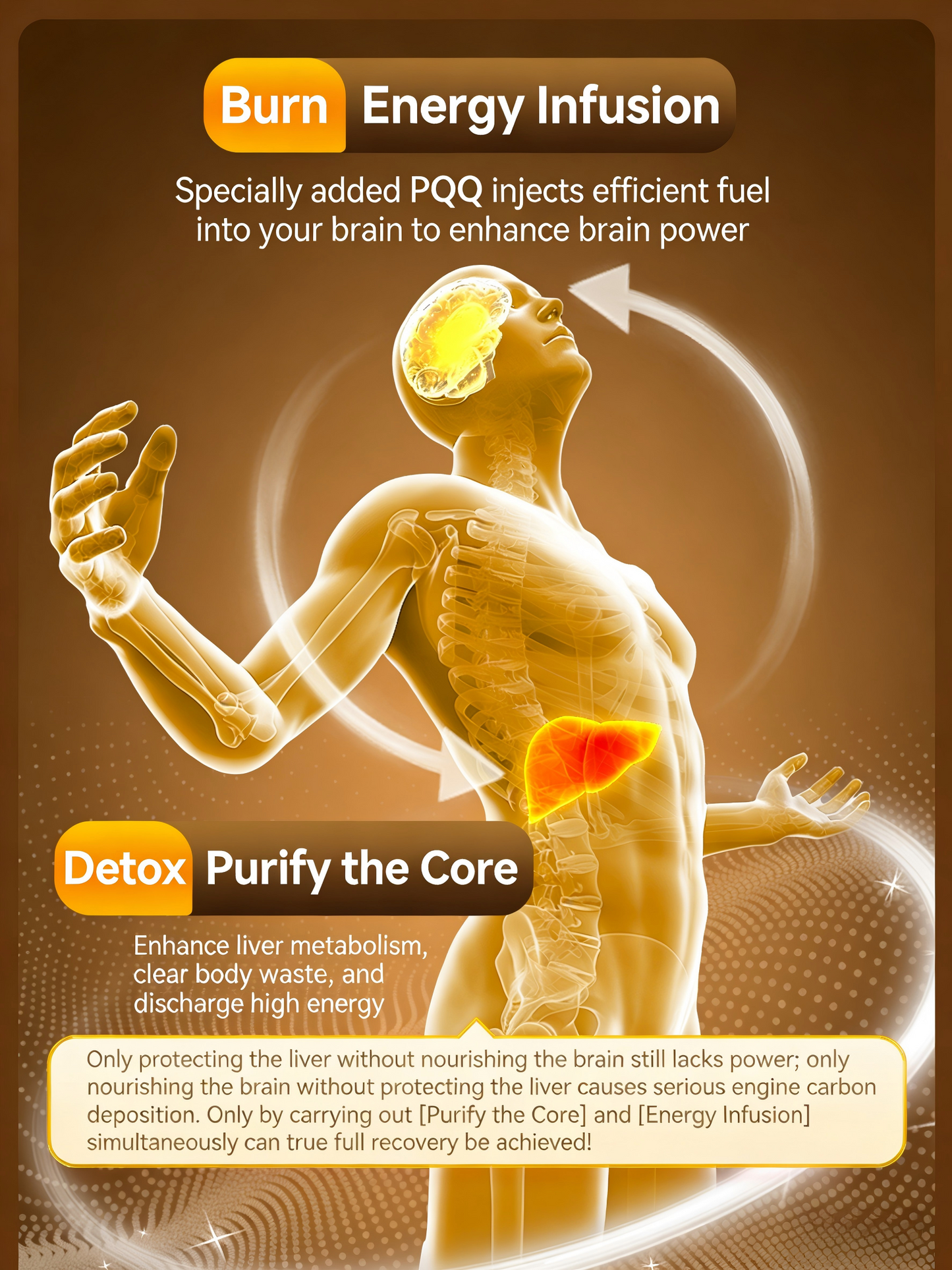 LIVER DETOX Amium PQQ Complex Advanced Liver Detox