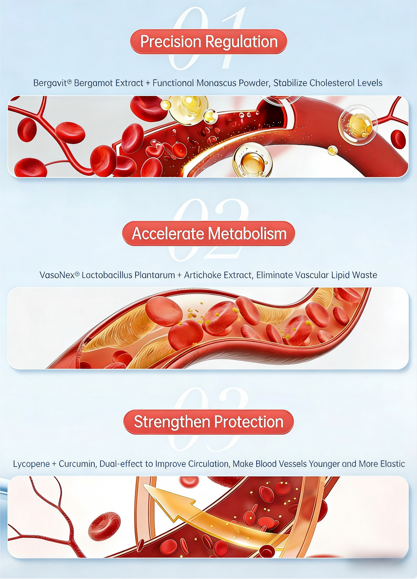 CHOLESTEROL BALANCE+