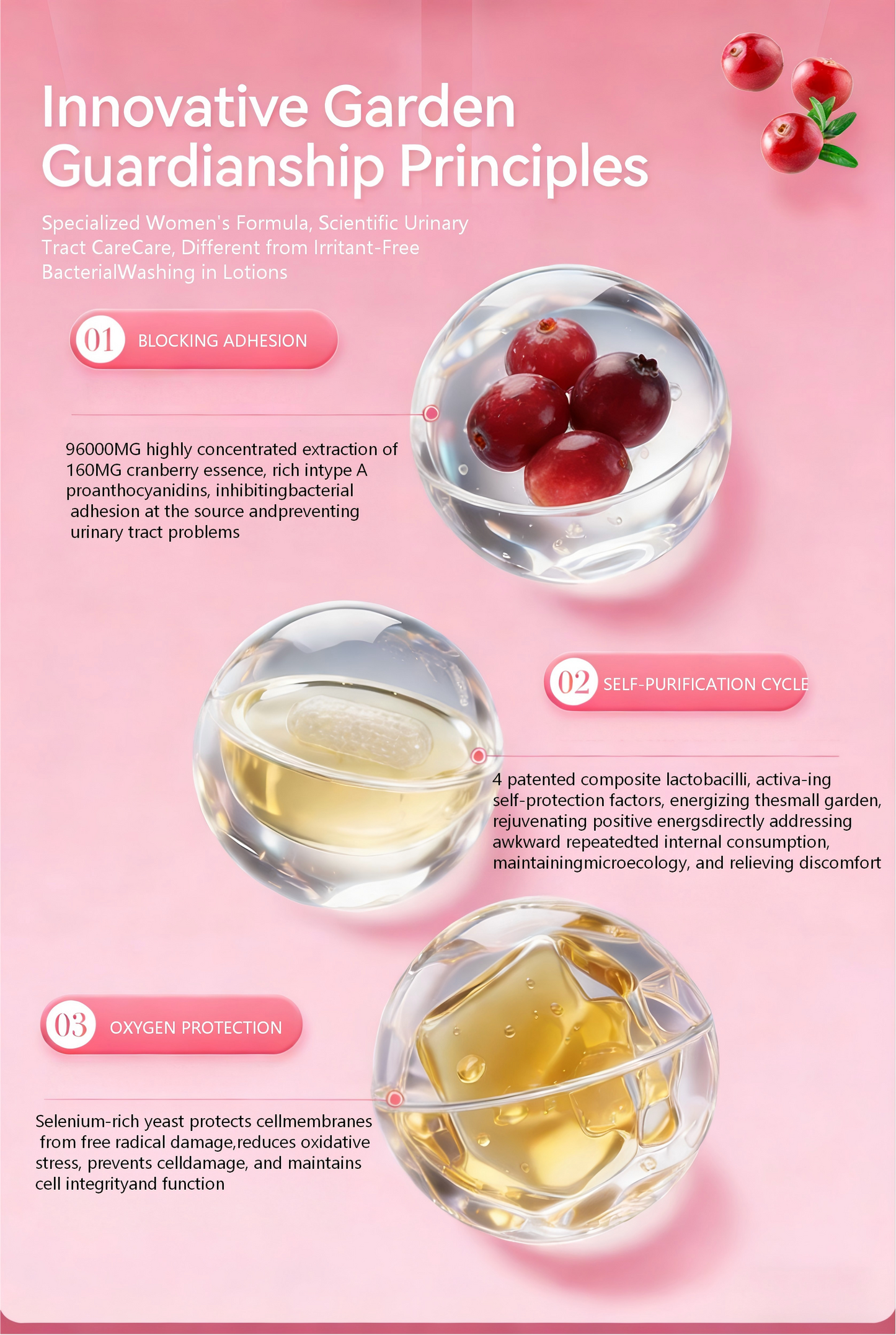 HIGH STRENGTH CRANBERRY & PROBIOTIC+